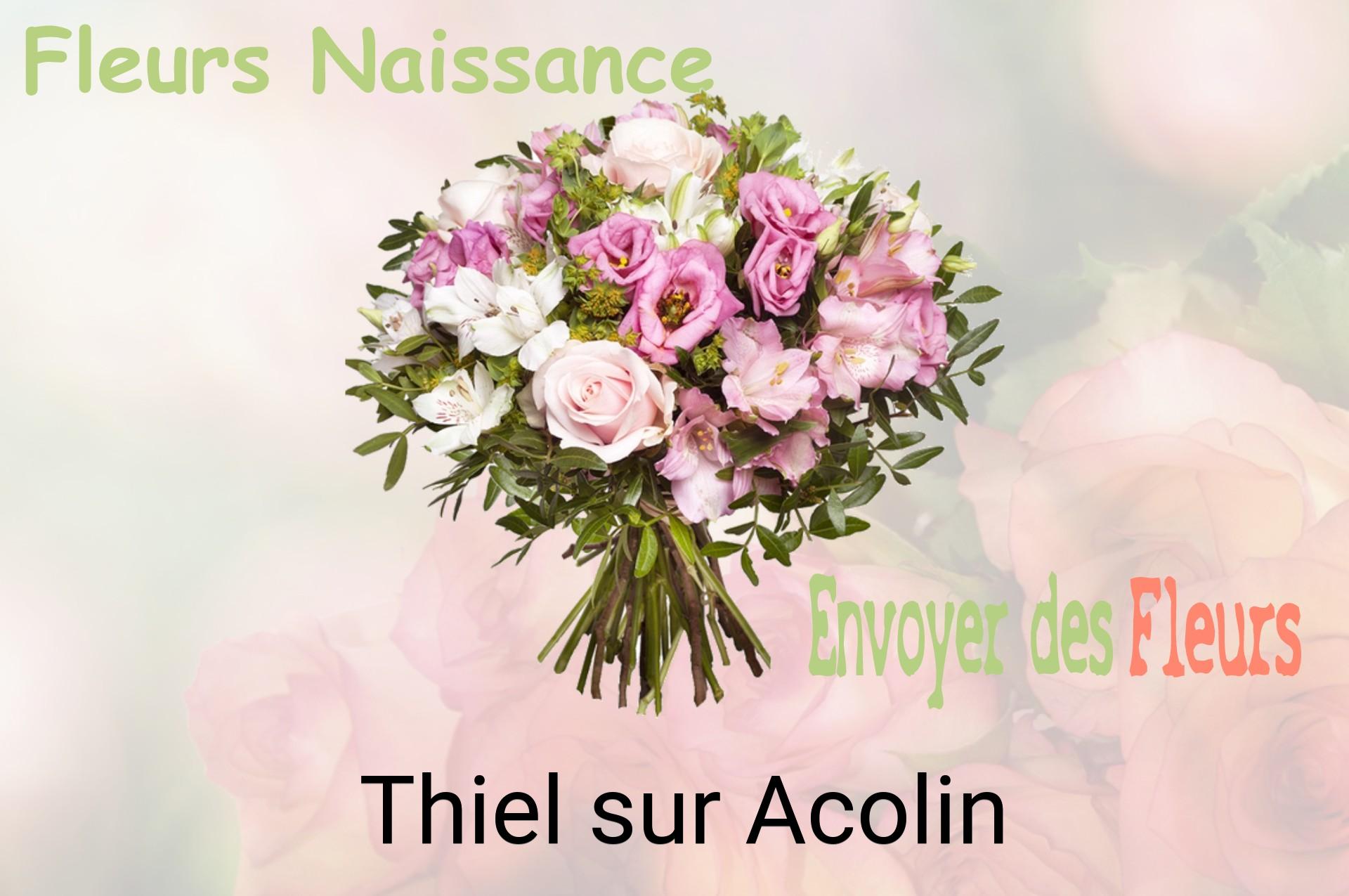 Bouquet de fleurs de naissance livré à Thiel-sur-Acolin