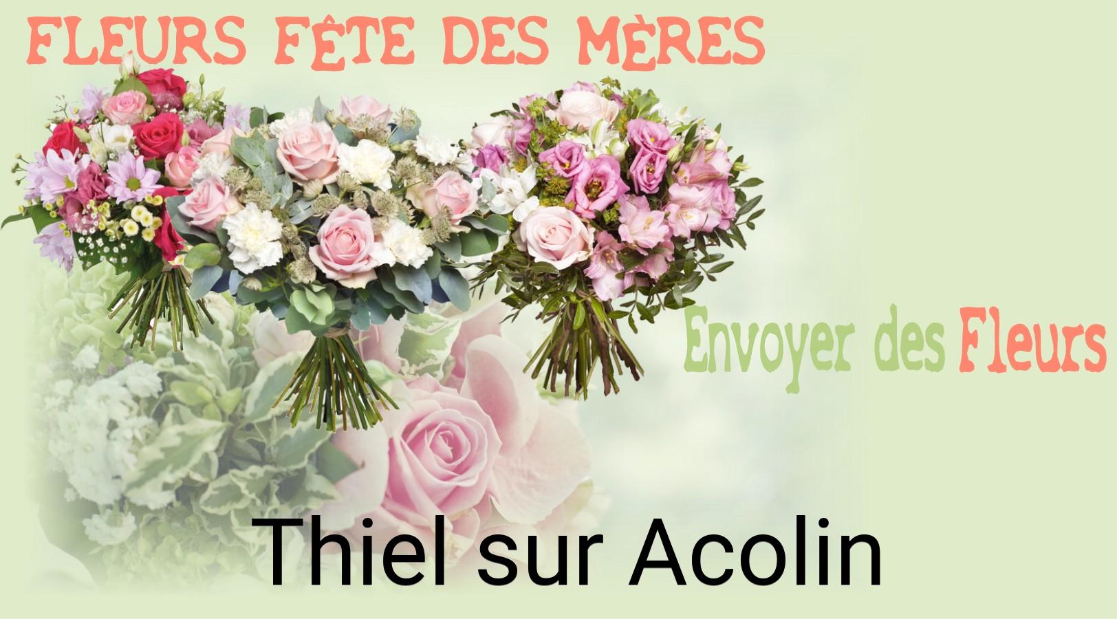 Bouquet de Fête des Mères livré à Thiel-sur-Acolin